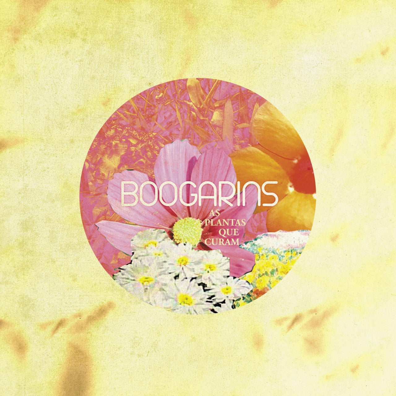 BOOGARINS  - AS PLANTAS QUE CURAM