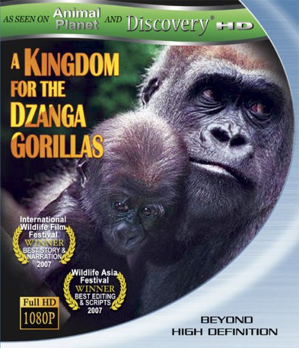 A KINGDOM FOR THE DZANGA GORILLAS  - BLU
