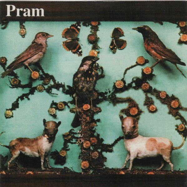 PRAM  - MUSEUM OF IMAGINARY ANIMALS