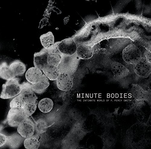 TINDERSTICKS - MINUTE BODIES: THE INTIMATE WORLD OF F. PERCY SMITH (CD)