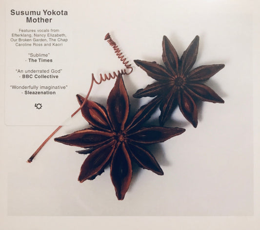 YOKOTA, SUSUMU  - MOTHER