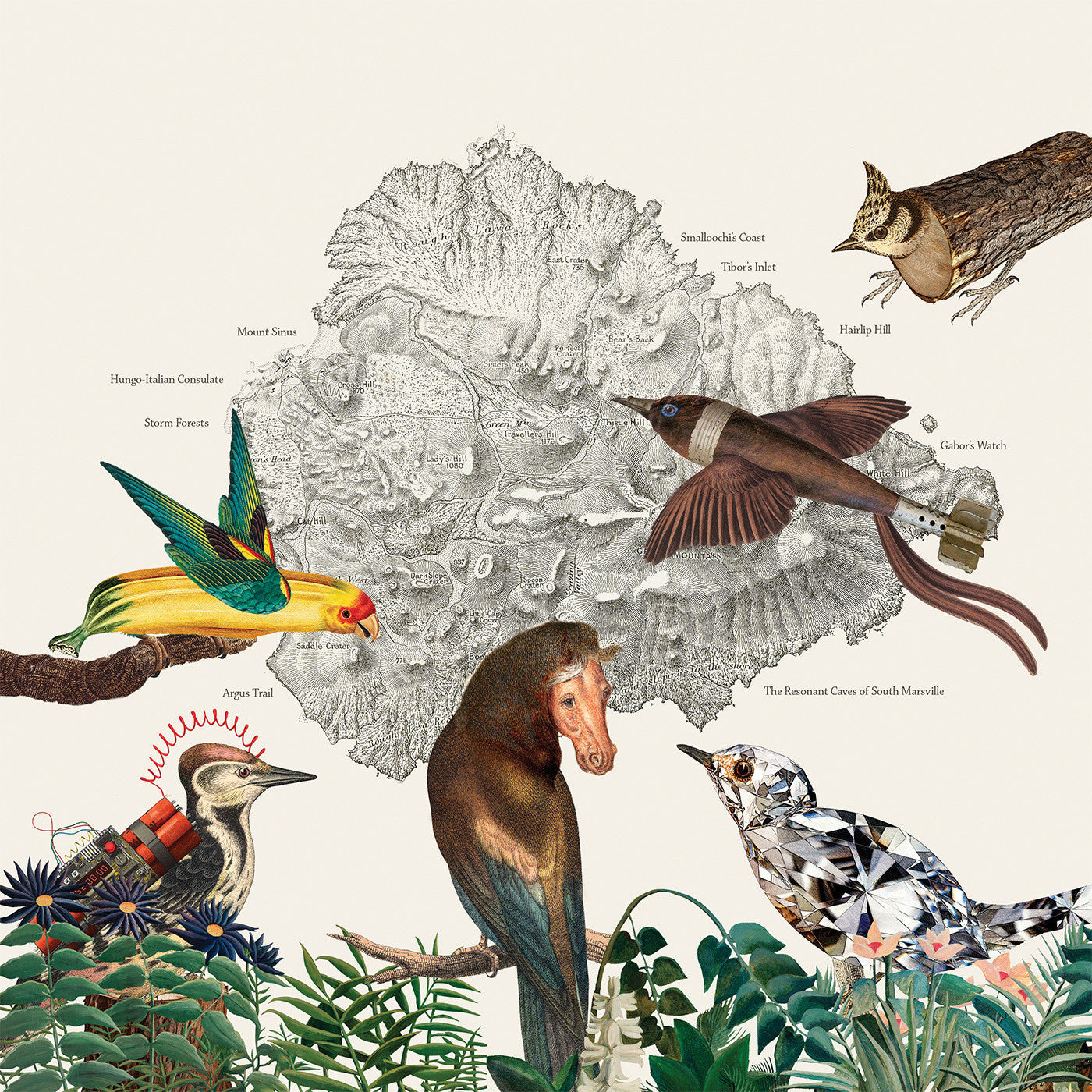 FRIENDLY RICH - THE BIRDS OF MARSVILLE