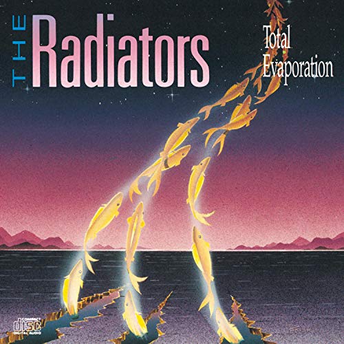 RADIATORS - TOTAL EVAPORATION