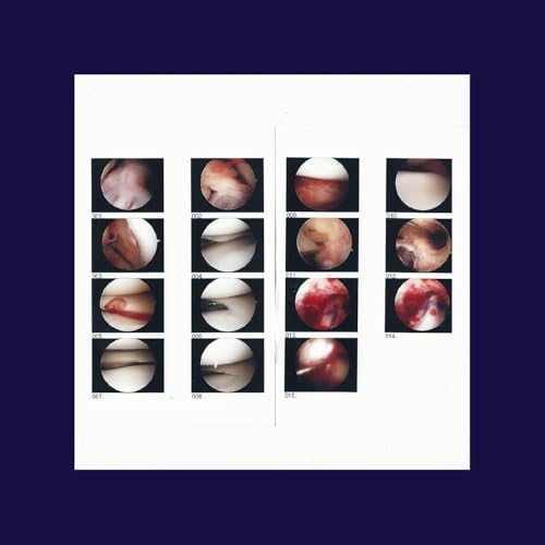 CRADLE, THE - LAUGHING IN MY SLEEP (DL CARD) (CD)