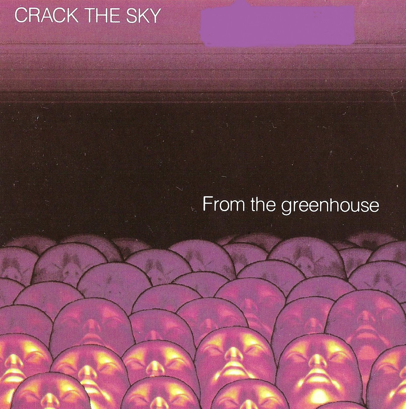 CRACK THE SKY  - FROM THE GREENHOUSE