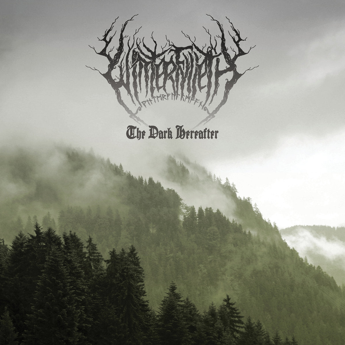 WINTERFYLLETH  - DARK HEREAFTER (LTD DIGI)
