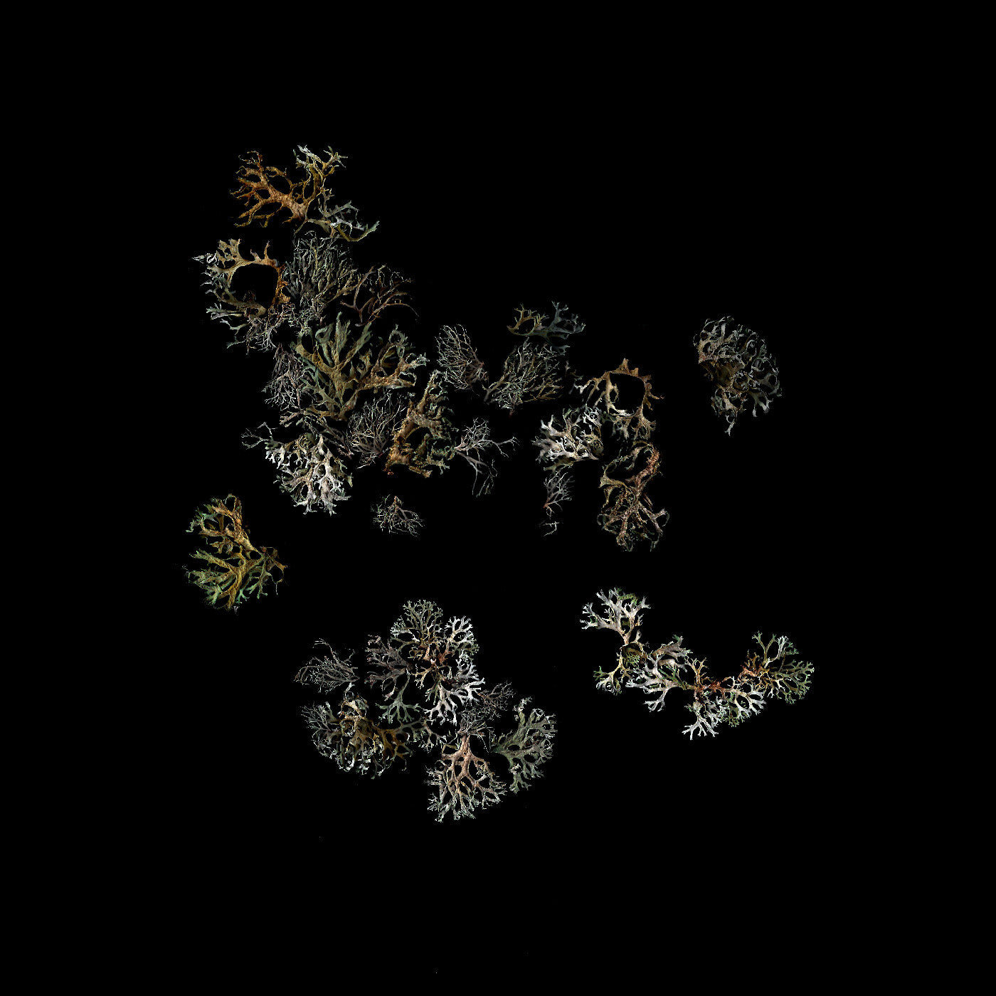 DEATHCRASH - RETURN