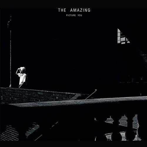 THE AMAZING - PICTURE YOU