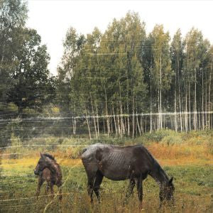 PIANOS BECOME THE TEETH - OLD PRIDE (FOREST GREEN VINYL)