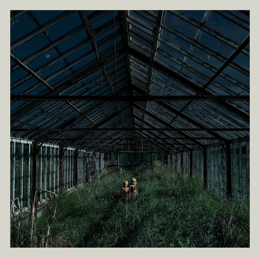 FOXING  - DEALER