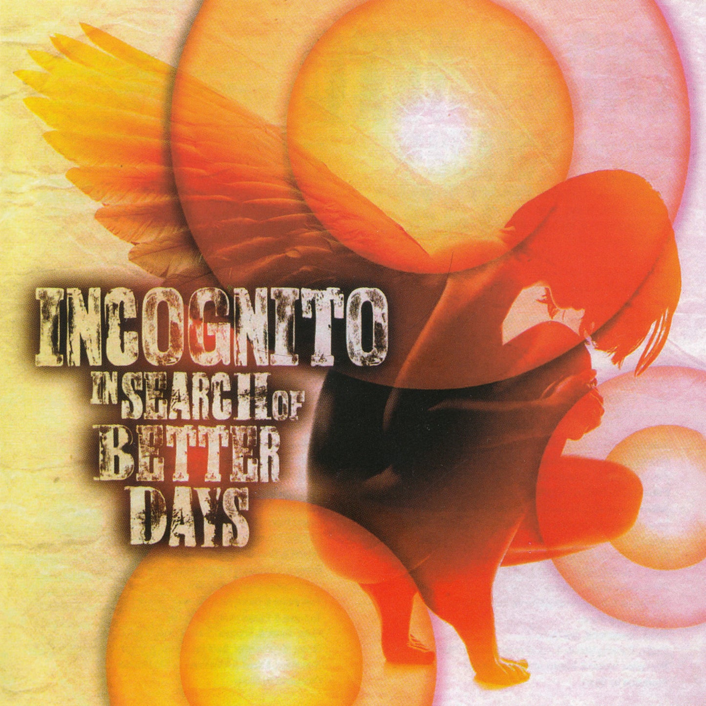 INCOGNITO  - IN SEARCH OF BETTER DAYS