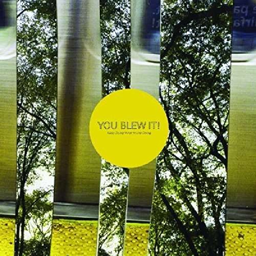 YOU BLEW IT - KEEP DOING WHAT YOU'RE DOING (VINYL)