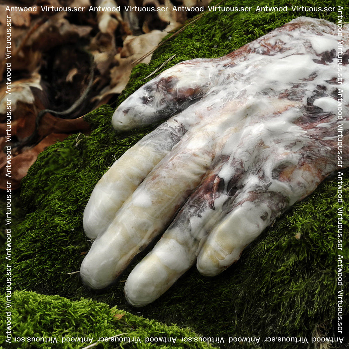 ANTWOOD - VIRTUOUS.SCR