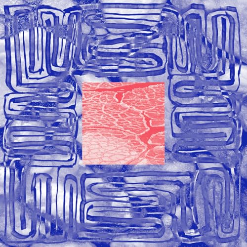 TOTALEMENT SUBLIME - ALBEDO / PARHELIE (VINYL)