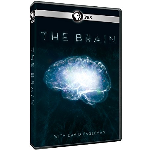 BRAIN (DOCUMENTARY)  - DVD-2 DISCS (PBS)