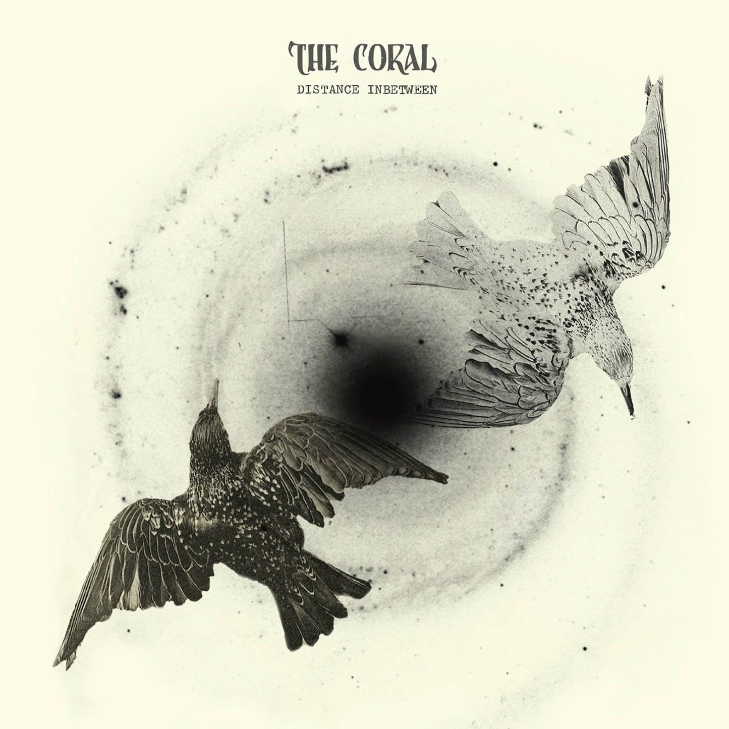 CORAL  - DISTANCE INBETWEEN