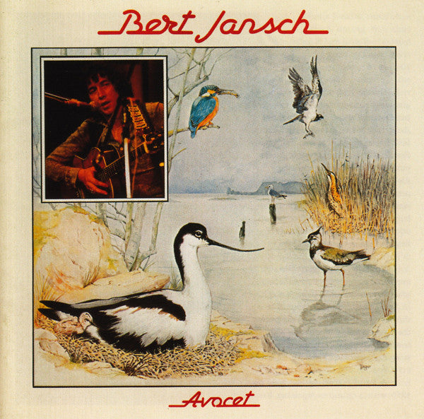 JANSCH, BERT  - AVOCET