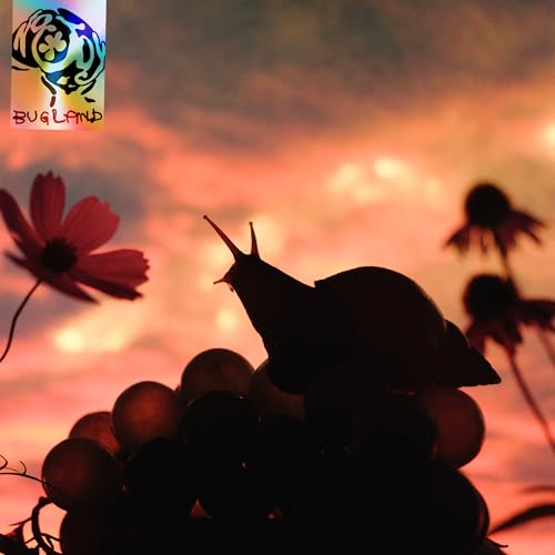 NO JOY - BUGLAND (CHRYSALIS BLUE VINYL EDITION)