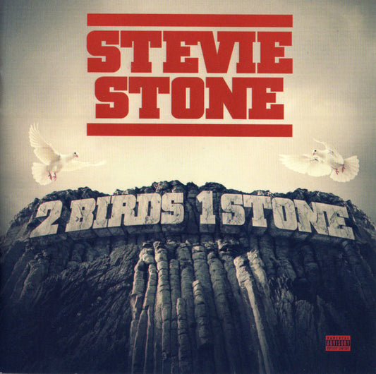 STONE, STEVIE  - 2 BIRDS, 1 STONE