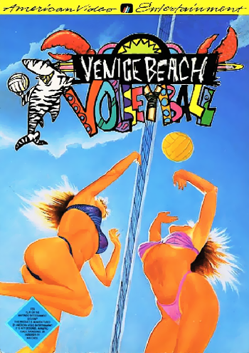 VENICE BEACH VOLLEYBALL  - NES