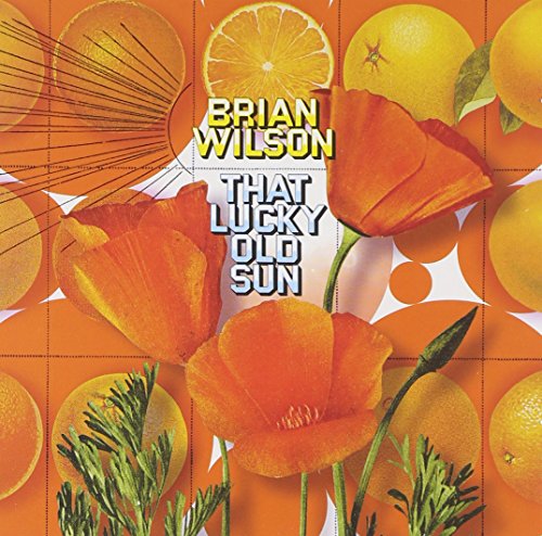 WILSON, BRIAN  - BRIAN WILSON - THAT LUCKY OLD SUN (2 CD+DVD)