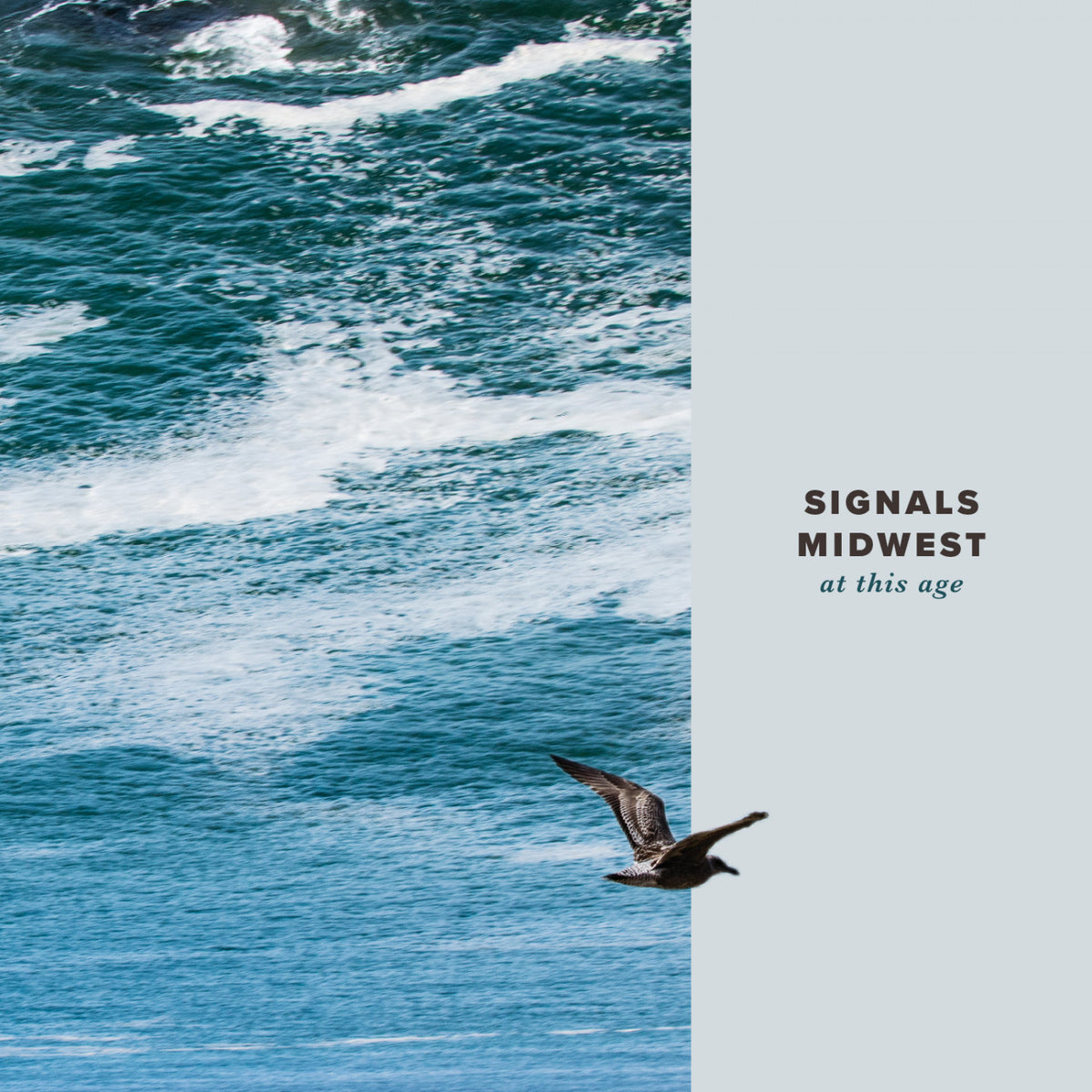 SIGNALS MIDWEST - AT THIS AGE