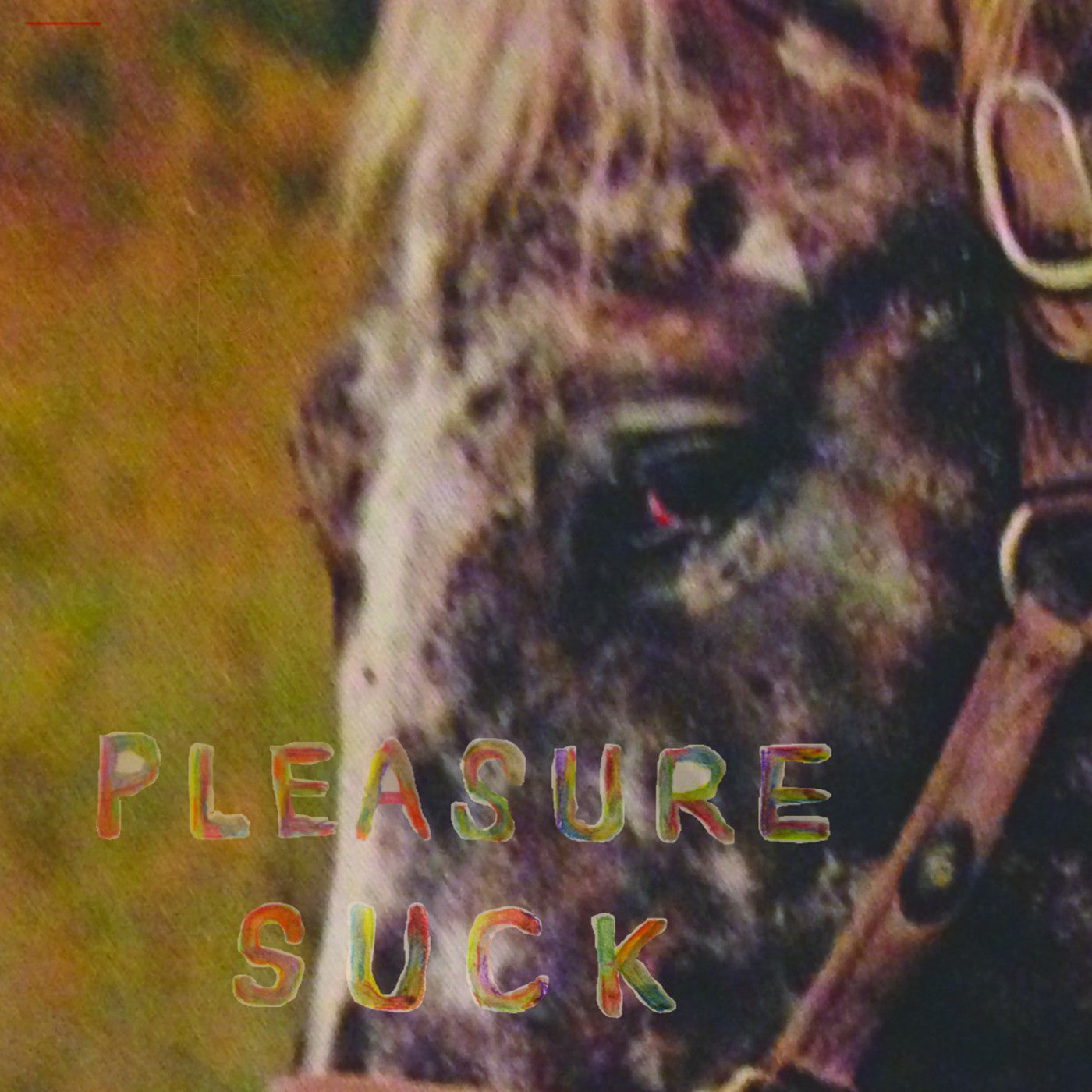 SPIRIT OF THE BEEHIVE - PLEASURE SUCK (TRANSPARENT ORANGE VINYL)