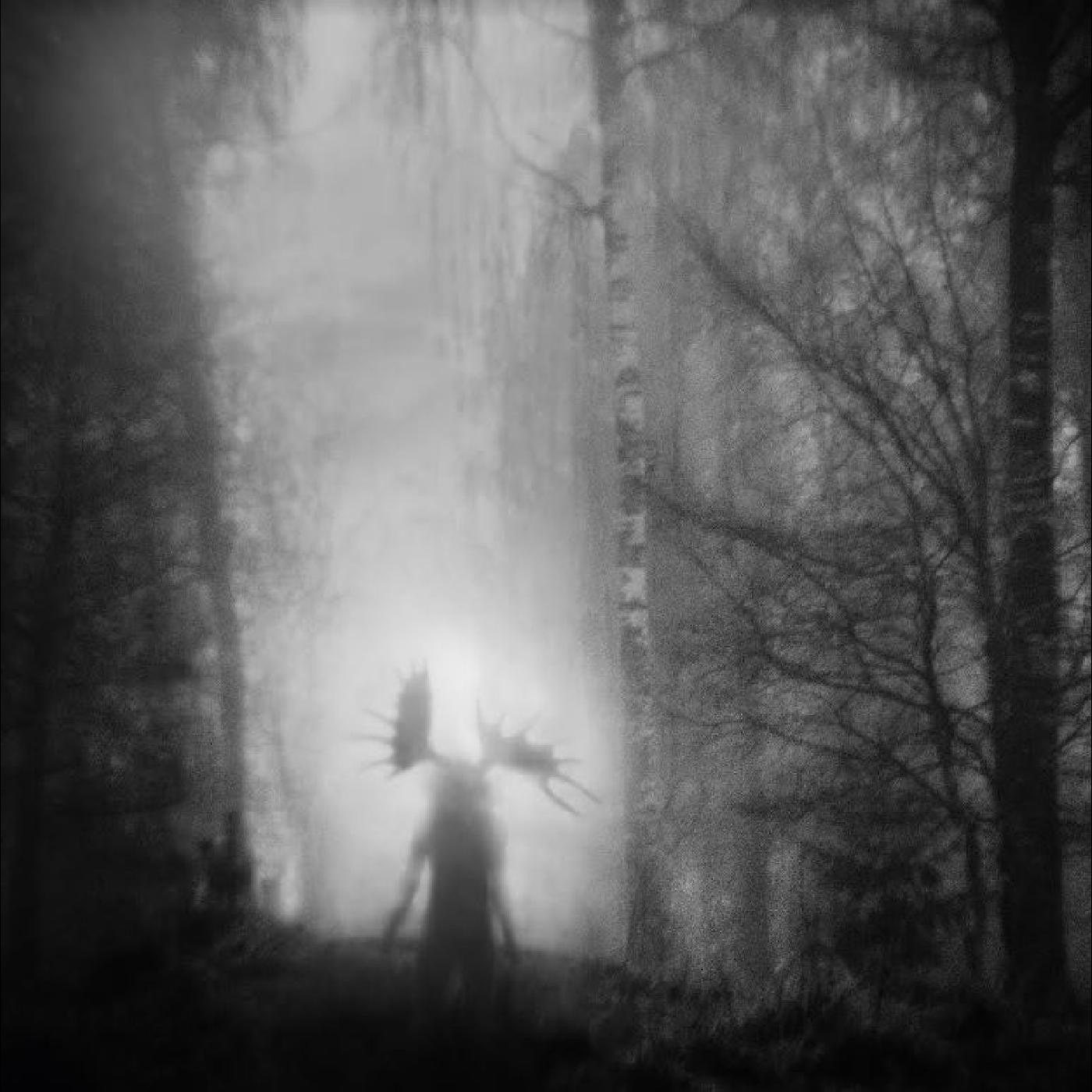 ITERUM NATA - FROM THE INFINITE LIGHT
