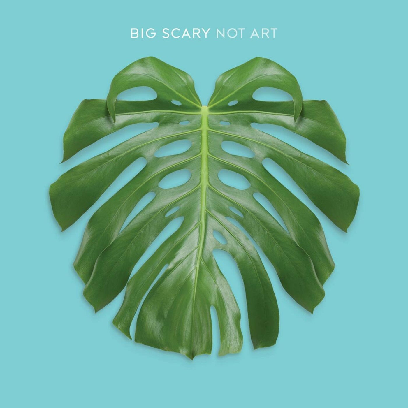 BIG SCARY - NOT ART