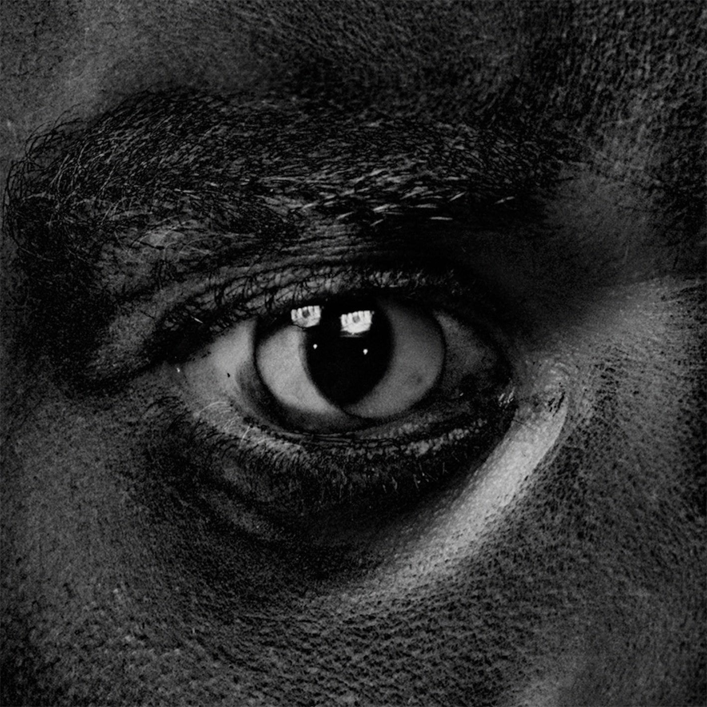 WILEY - EVOLVE OR BE EXTINCT