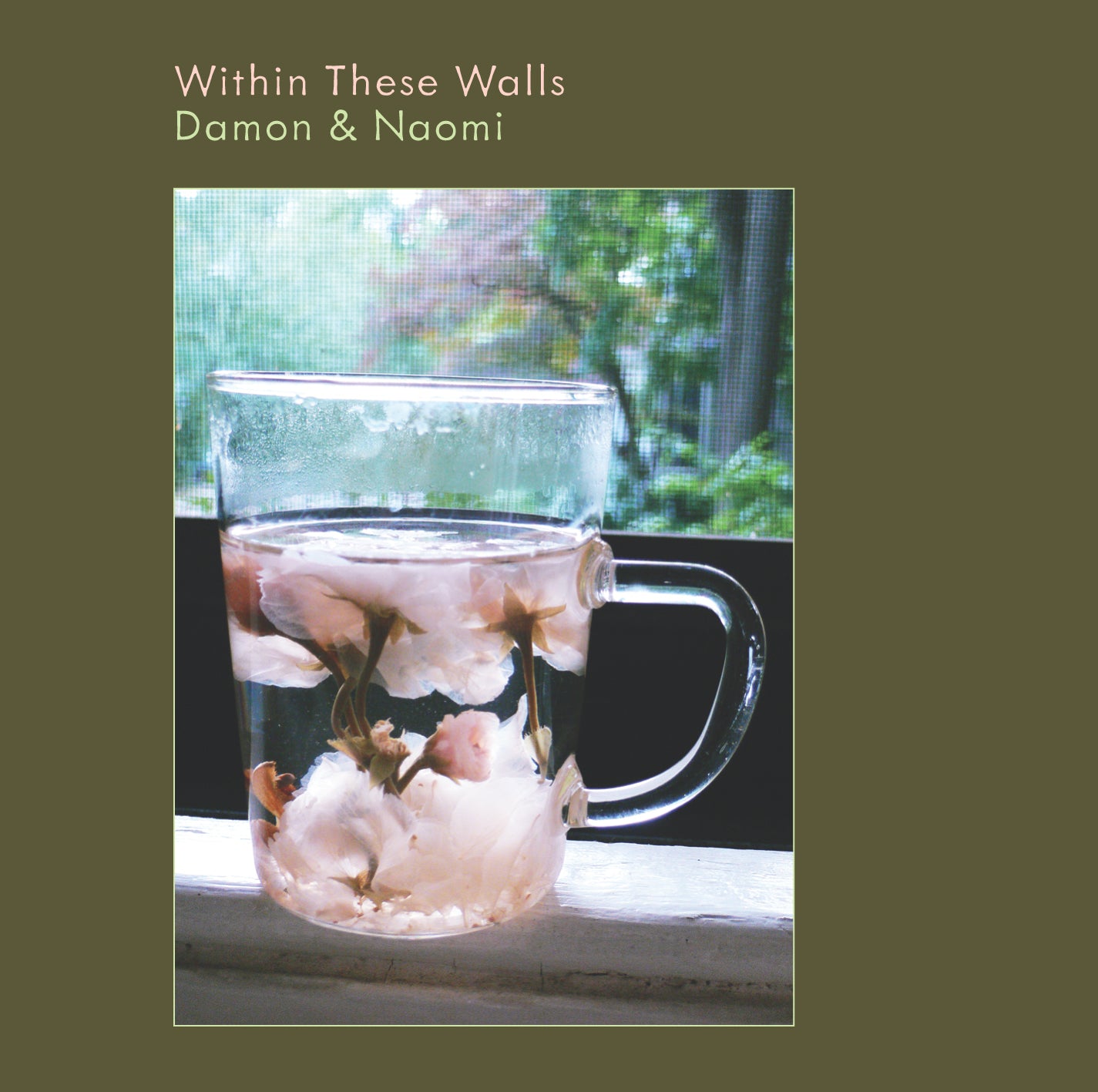 DAMON & NAOMI  - WITHIN THESE WALLS