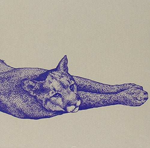 HOLTKAMP, KOEN - FIELD RITUALS (VINYL)