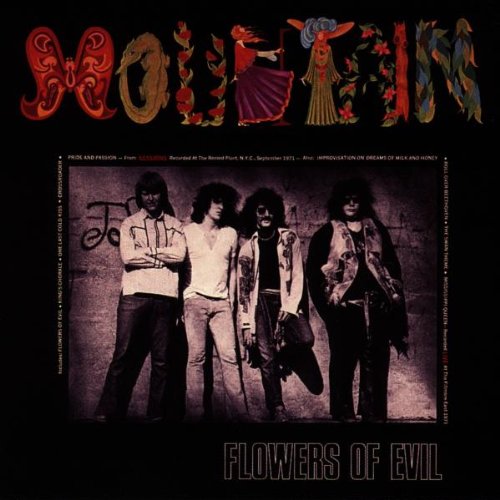 MOUNTAIN - FLOWERS OF EVIL