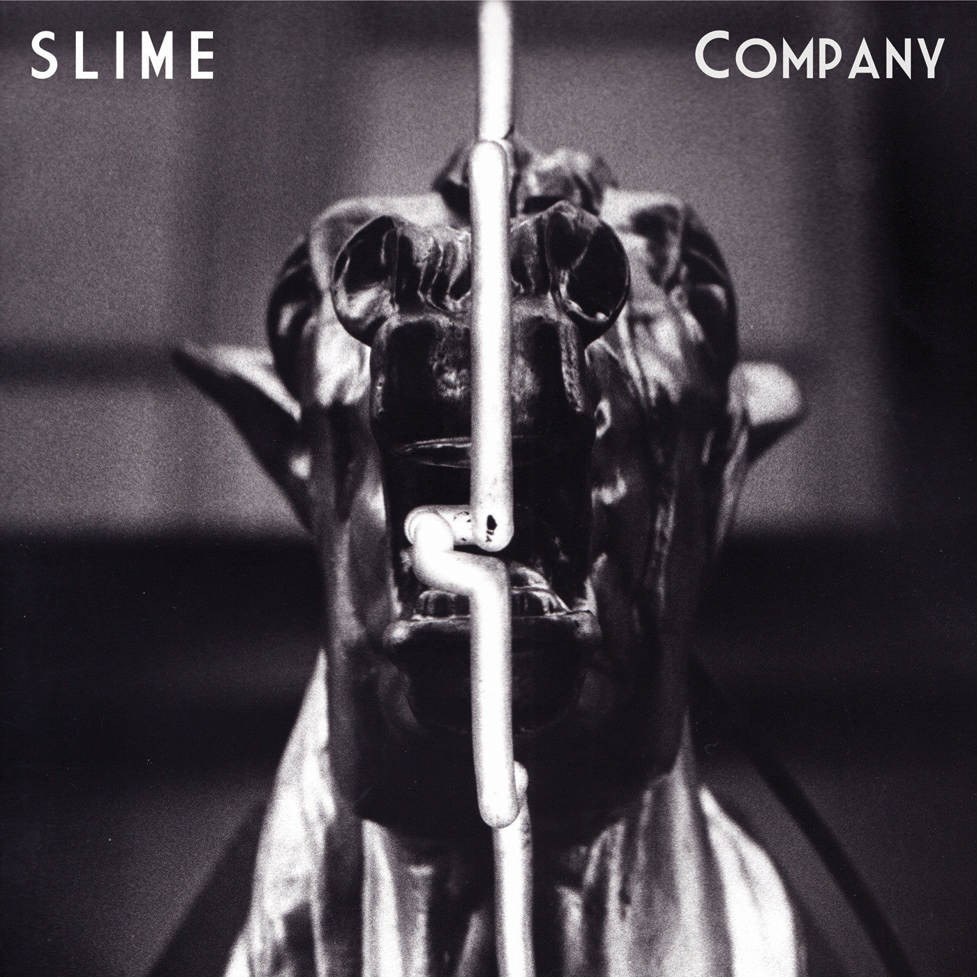 SLIME - COMPANY