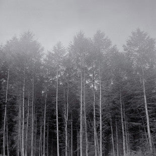 SKELTON, RICHARD  - LANDINGS