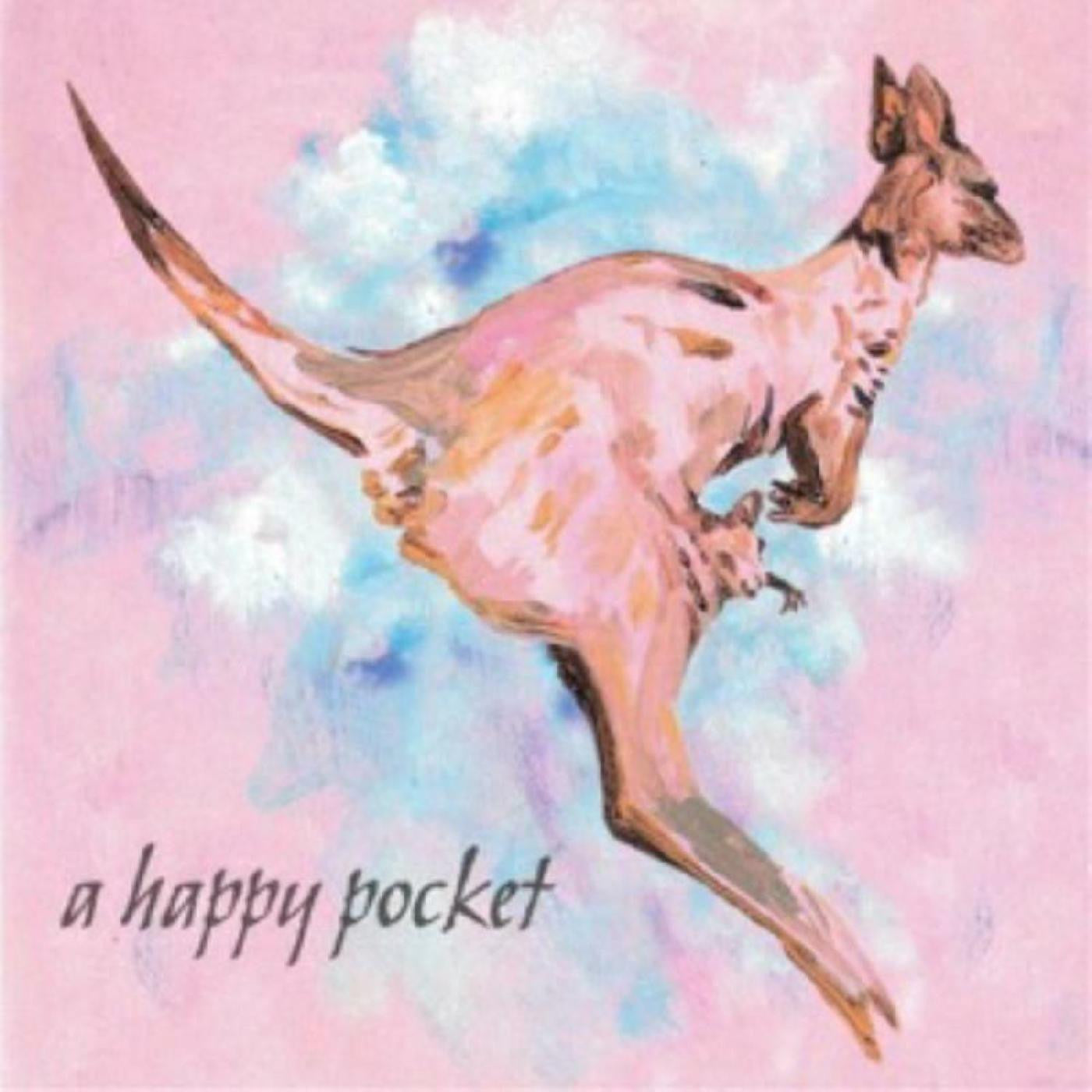 TRASHCAN SINATRAS - A HAPPY POCKET (PINK VINYL)