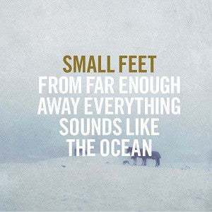 SMALL FEET - FROM FAR ENOUGH AWAY EVERYTHING SOUNDS LIKE THE OCEAN