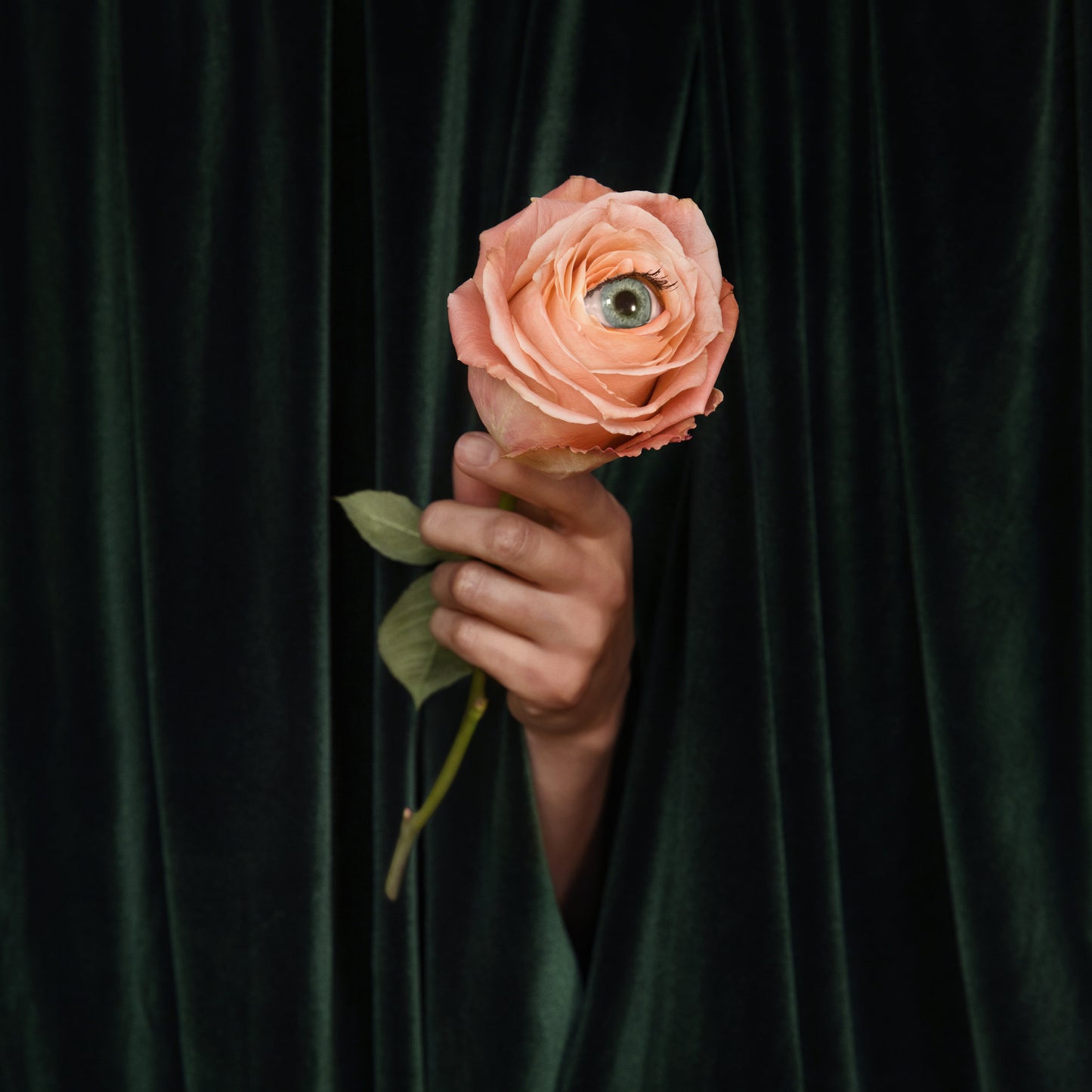 MARIAN HILL  - UNUSUAL