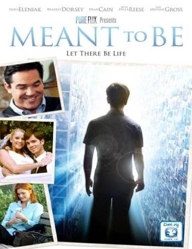 MEANT TO BE [IMPORT]