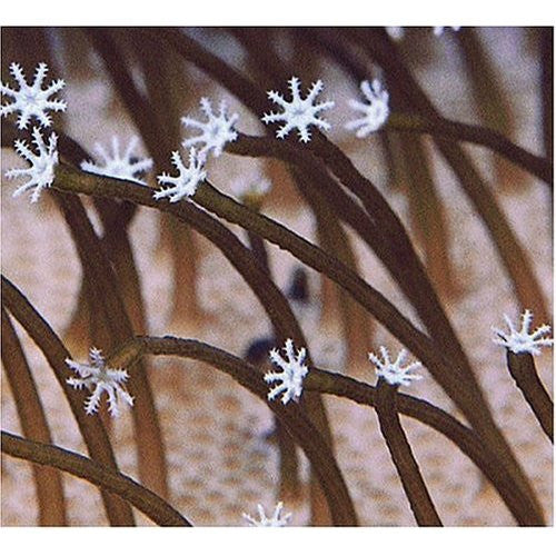 MEDESKI, MARTIN & WOOD  - FARMER'S RESERVE