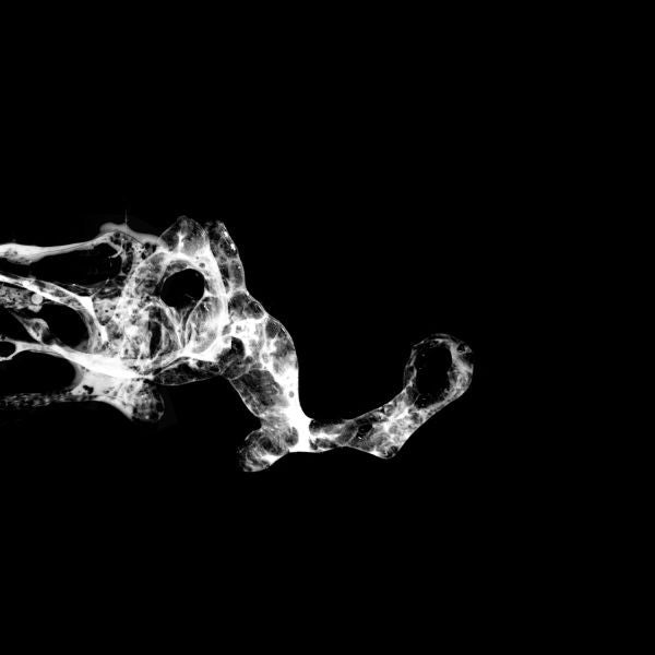 SAFFRONKEIRA - TOURETTE