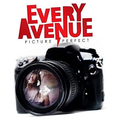 EVERY AVENUE - PICTURE PERFECT (CD)