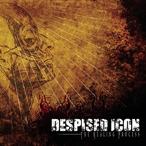DESPISED ICON - THE HEALING PROCESS (ALTERNATE MIX - RE-ISSUE + BONUS 2022) (VINYL)
