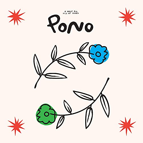 GREAT BIG PILE OF LEAVES - PONO (CD)