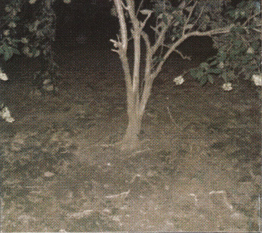 MCKIEL, JON  - CONFIDENCE LODGE