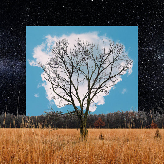 FINK  - BLOOM INNOCENT