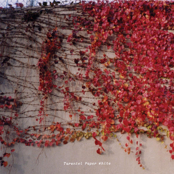 TARENTEL  - PAPER WHITE (EP)