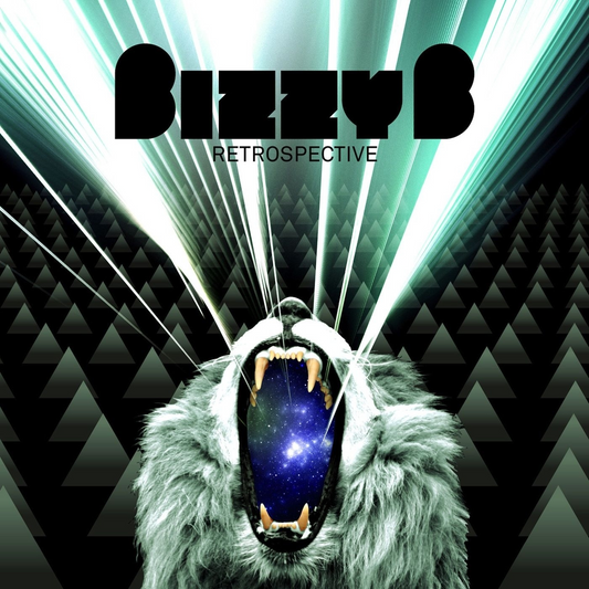 BIZZY B  - RETROSPECTIVE