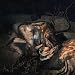 THE WEATHER STATION - HUMANHOOD (CD)