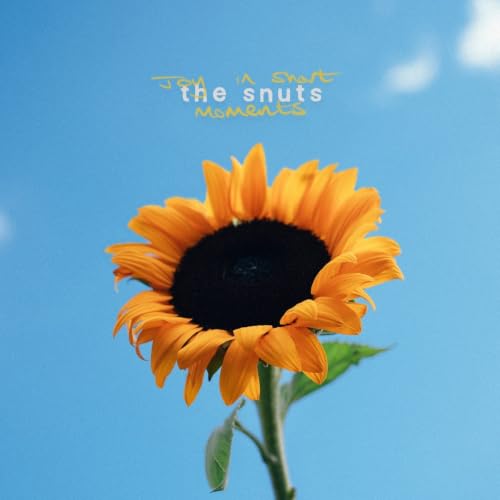 THE SNUTS - JOY IN SHORT MOMENTS (CD)